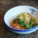 독도참가자미 이미지