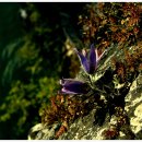 문산2리 이미지