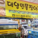 대양민물장어