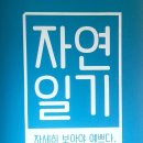 자세히 보아야 예쁘다 이미지