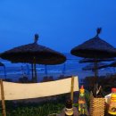 비치조아 이미지