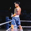 팀 드래곤 이미지