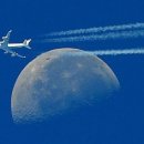 원천성일1차 이미지