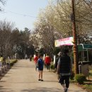 봉황산 공원 이미지