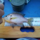 문천2리 이미지