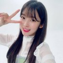 마이딩고 이미지