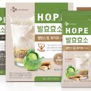 H 밸런스 이미지