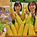 상상초당 이미지