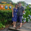 제주미즈리 이미지