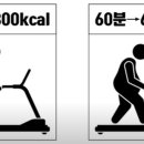 피트니스131 이미지