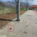 대강면사무소 이미지