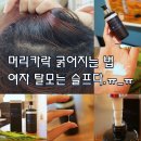 엔젤팜약국 | 여자 탈모샴푸 그리고 머리카락 굵어지는 법 (feat 토토헤어플러스)