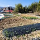 고성 1 공인중개사사무소 이미지