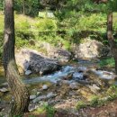 반디불이 민박 이미지