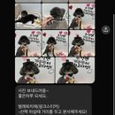 아로멍 이미지