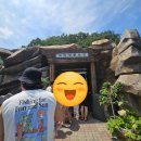 냉풍욕장 | 보령 냉풍욕장 후기｜성주산 계곡 여행 후 다녀온 시원한 여름 피서지