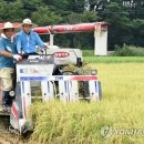 경주유통(경주마트) 연합뉴스