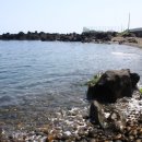 제주몽돌 이미지