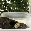 아롱 미용실 - 관악구 | 6月 (1) ; 행복해서 웃는게 아닌 웃어서 행복한 것
