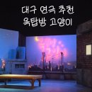 송죽공영주차장 | 대구 연극 추천｜흥행 신화 옥탑방고양이 송죽씨어터 관람 후기