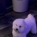 코인테니스