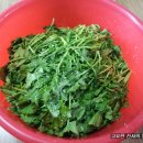 행복한손맛 이미지