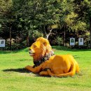 사회적기업 푸른하늘 이미지