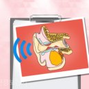 씨채널보청기 이미지