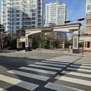 용인대초당태권도 이미지