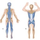 브랜뉴핏 민락점 이미지