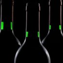 엘앤비테크 | [아이추워의 미스테리 데일리와인 구독 4차 : 내추럴 특집] 2번 와인 소개(프랑스 쥐라 샤르도네...