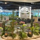 센트럴파이온 이미지