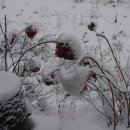 산중농원 이미지