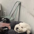 하림멕시칸 이미지