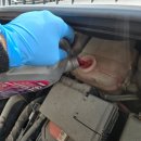 터보자동차정비공업사 이미지