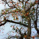 장성농장 이미지