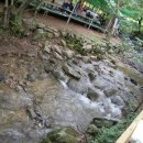 상록가든 이미지