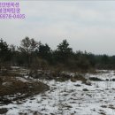 색달동-19 네이버블로그