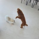 남악유치원 이미지