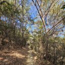 고흥.25.1.02(목) 운암산484m 동산마을.코바위.죽순바위.깃대봉.운암산.병풍바위.송곡재(추모비) 10.8km4시간10분 이미지