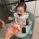 내돈내산 15개월 아기 유아식 생선구이 반찬 바로꾸어 후기 (대구,가자미,삼치)