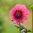 음악으로배우는영어 이미지