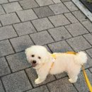 정이동물병원 이미지