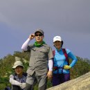 새신처럼 이미지