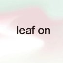 리프스튜디오