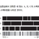 배명고등학교(내) 이미지