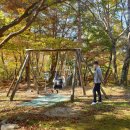 속사송어횟집 | 내돈내먹 23. 남우수산 송어횟집 (평창, 속사)