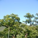 보덕사해우소 이미지