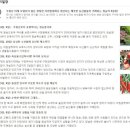 청송시장 이미지