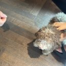 위례서일로 | 위례 분위기좋은 감성카페 애비로드커피바 ✨ 솔직후기